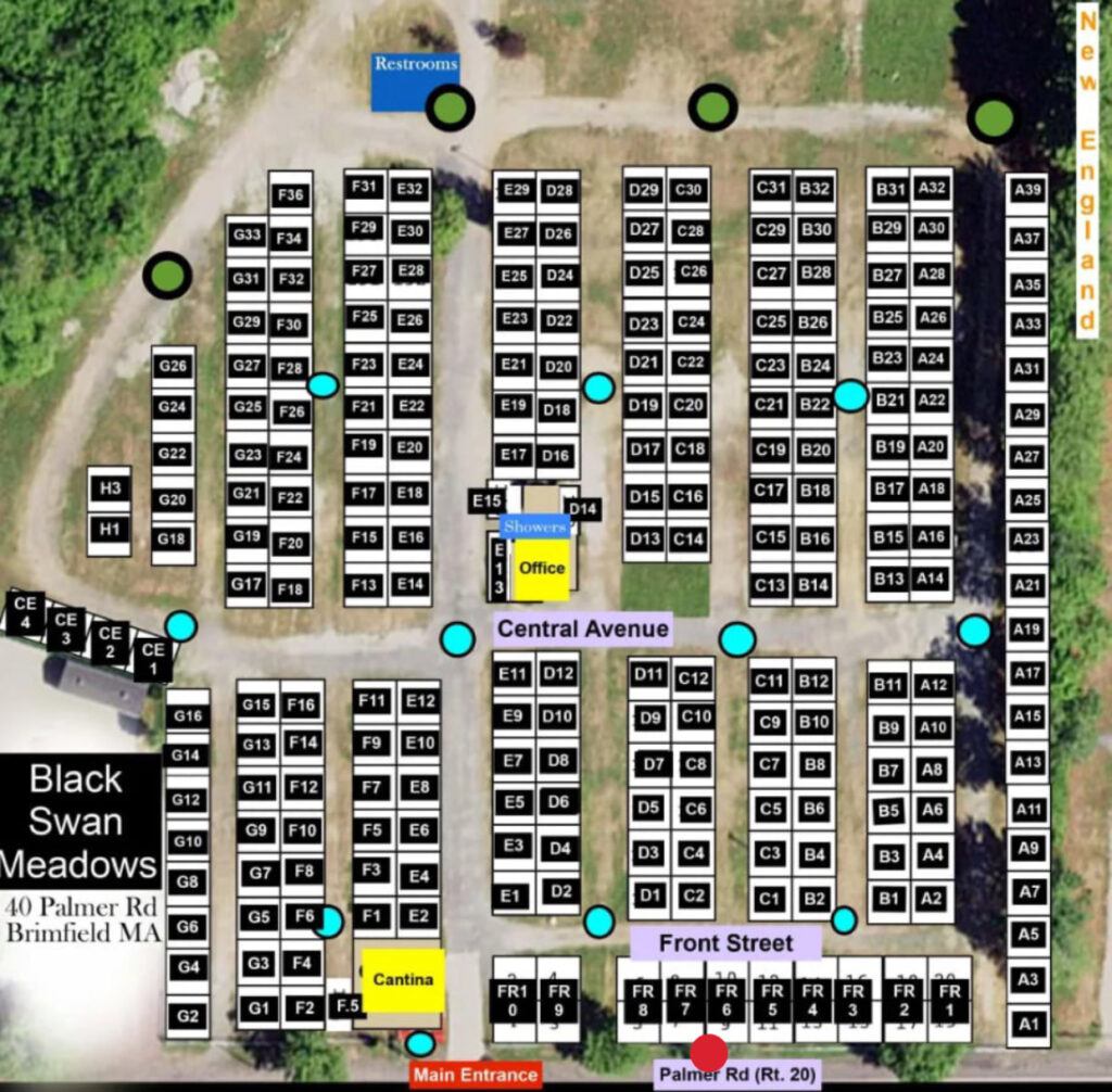 WexRex at Brimfield Antique Flea Market